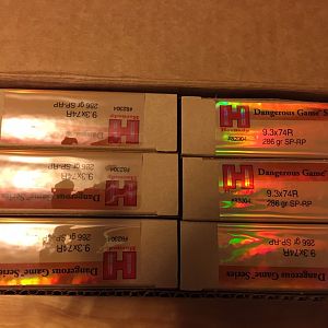 Hornady 9.3x74R Ammo