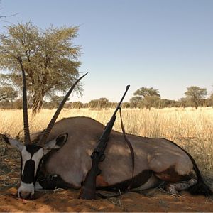 Gemsbok Hunting South Africa