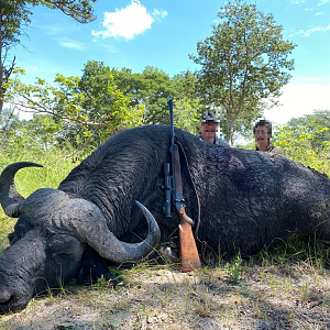 Namibia Hunting Buffalo