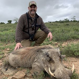 Warthog Hunting South Africa