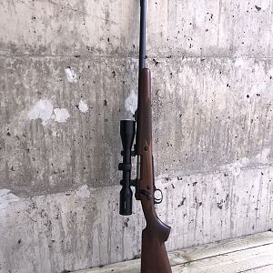 M70 375 H&H Rifle