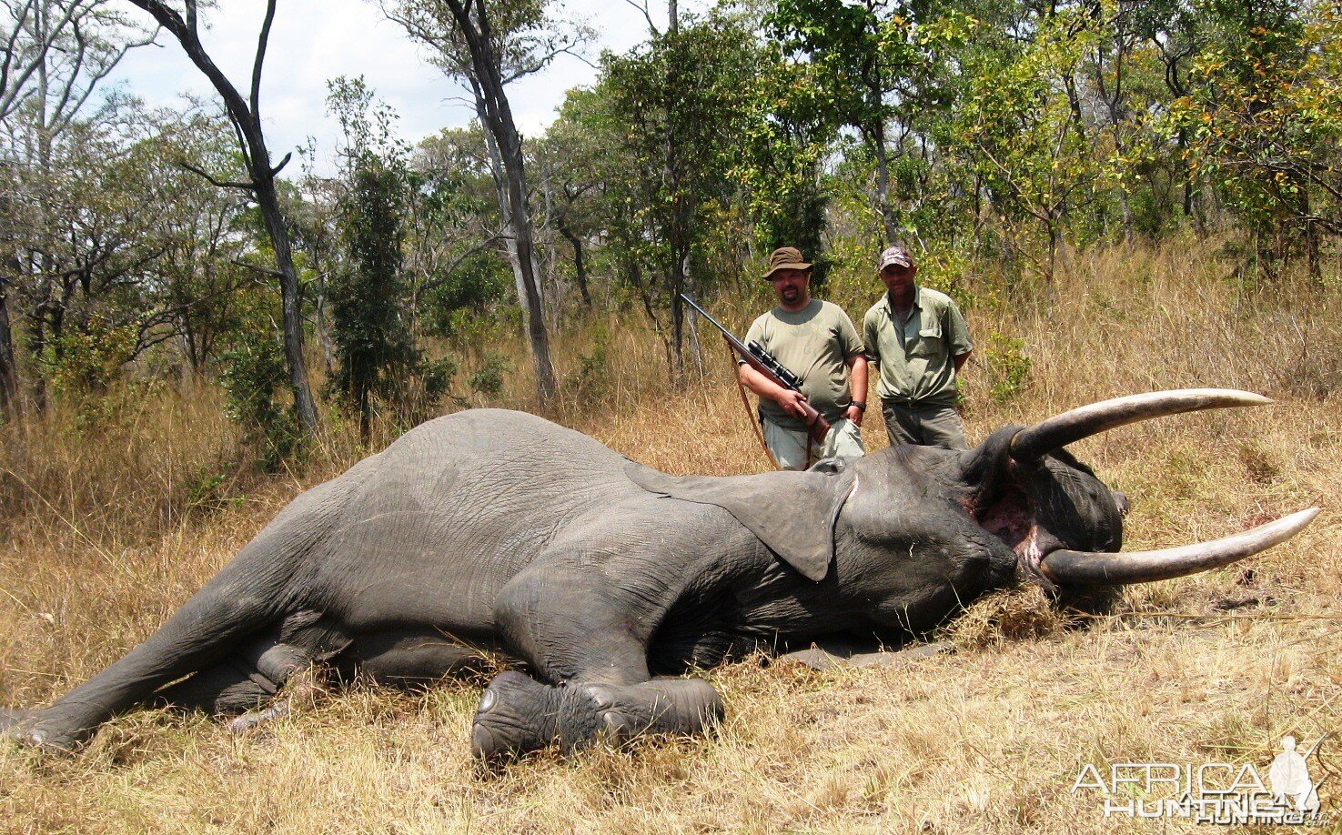 1,80 meter - 25 kg Elephant hunted in tanzania