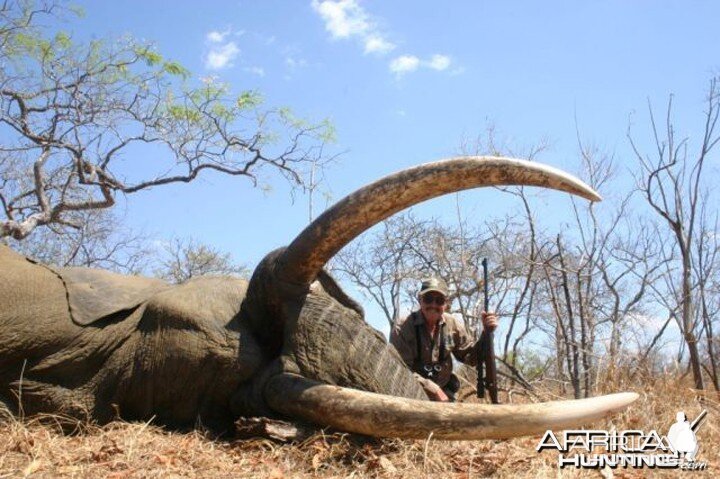 100 Pounder Elephant taken in Northern Mozambique