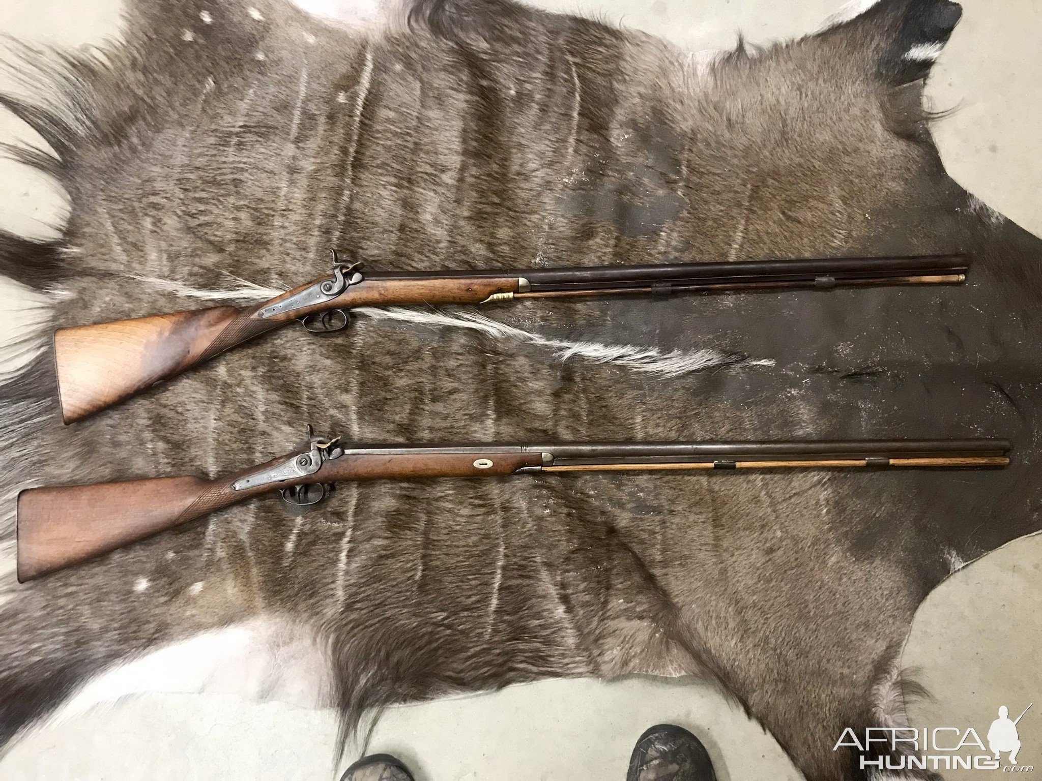 100+ Year Old Hunting Rifles