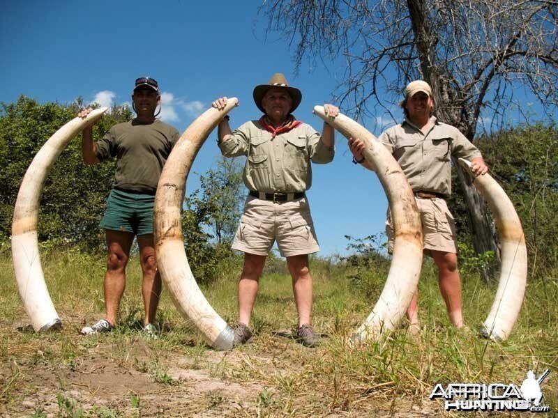 104 & 60 pound tuskers - Johan Calitz Safaris - PH Willy McDonald