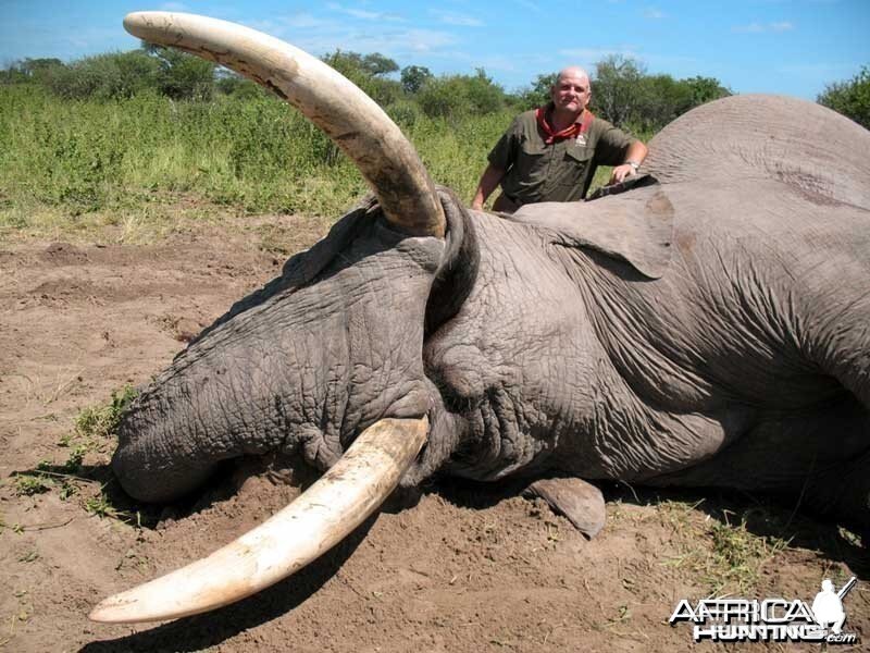 104 & 99 pound tusker taken with Johan Calitz Safaris in Botswana