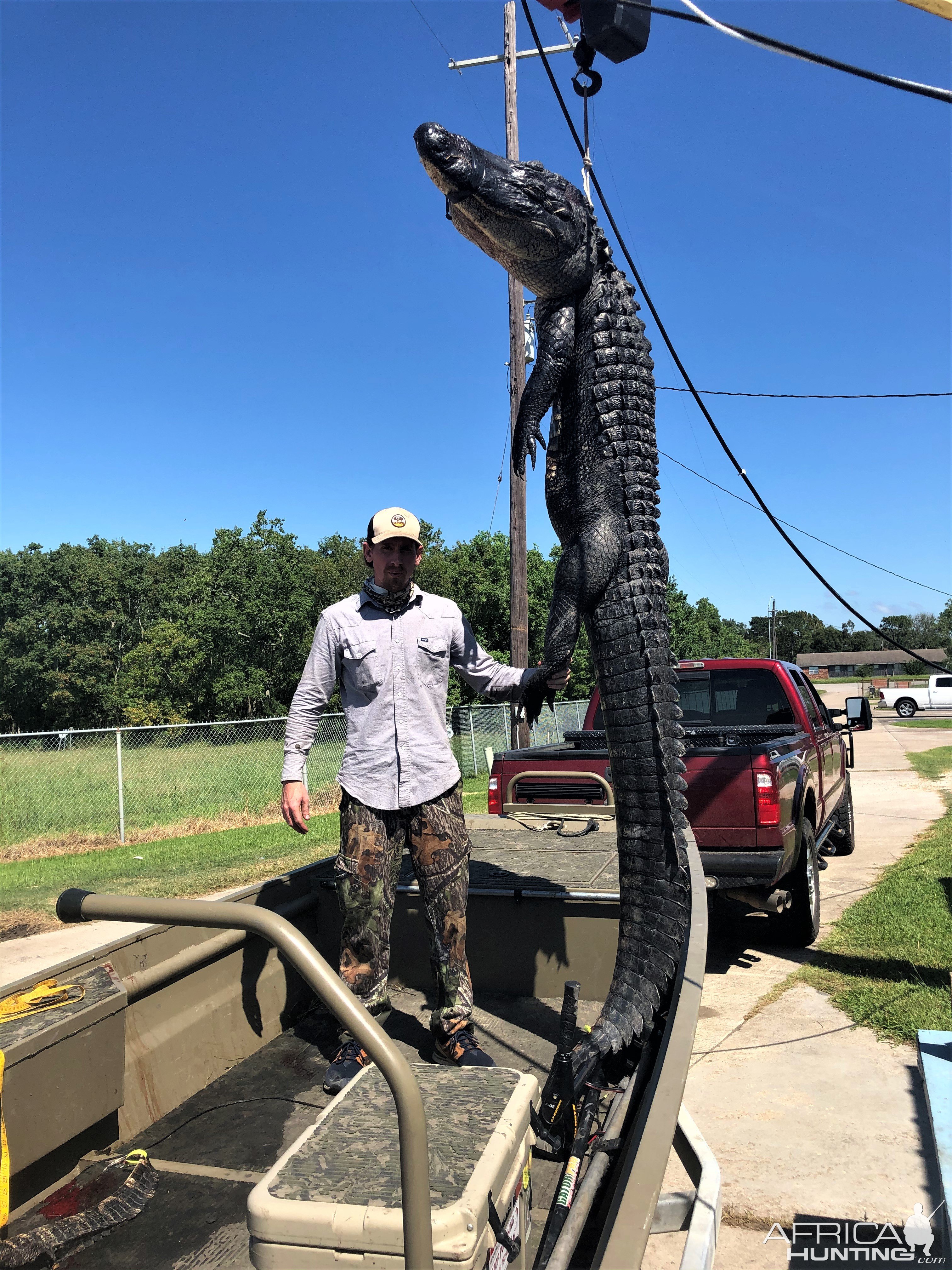 11 Foot Alligator Hunt