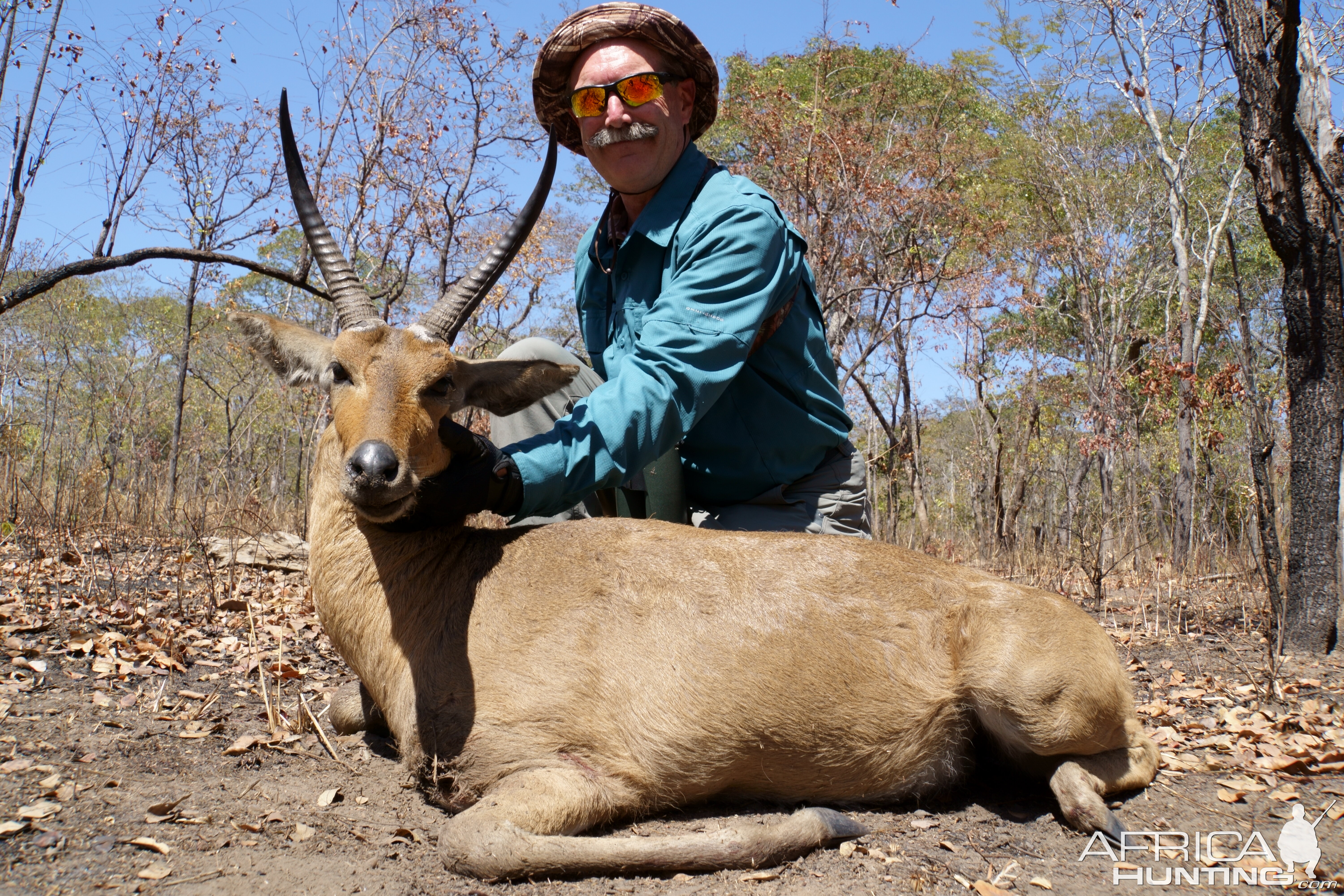 12 1/2" Common Reedbuck