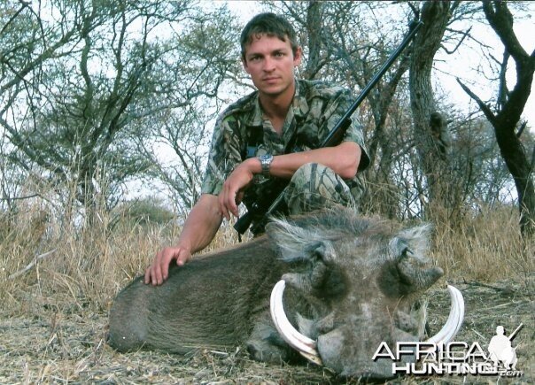 13.25 inch Warthog, Limpopo