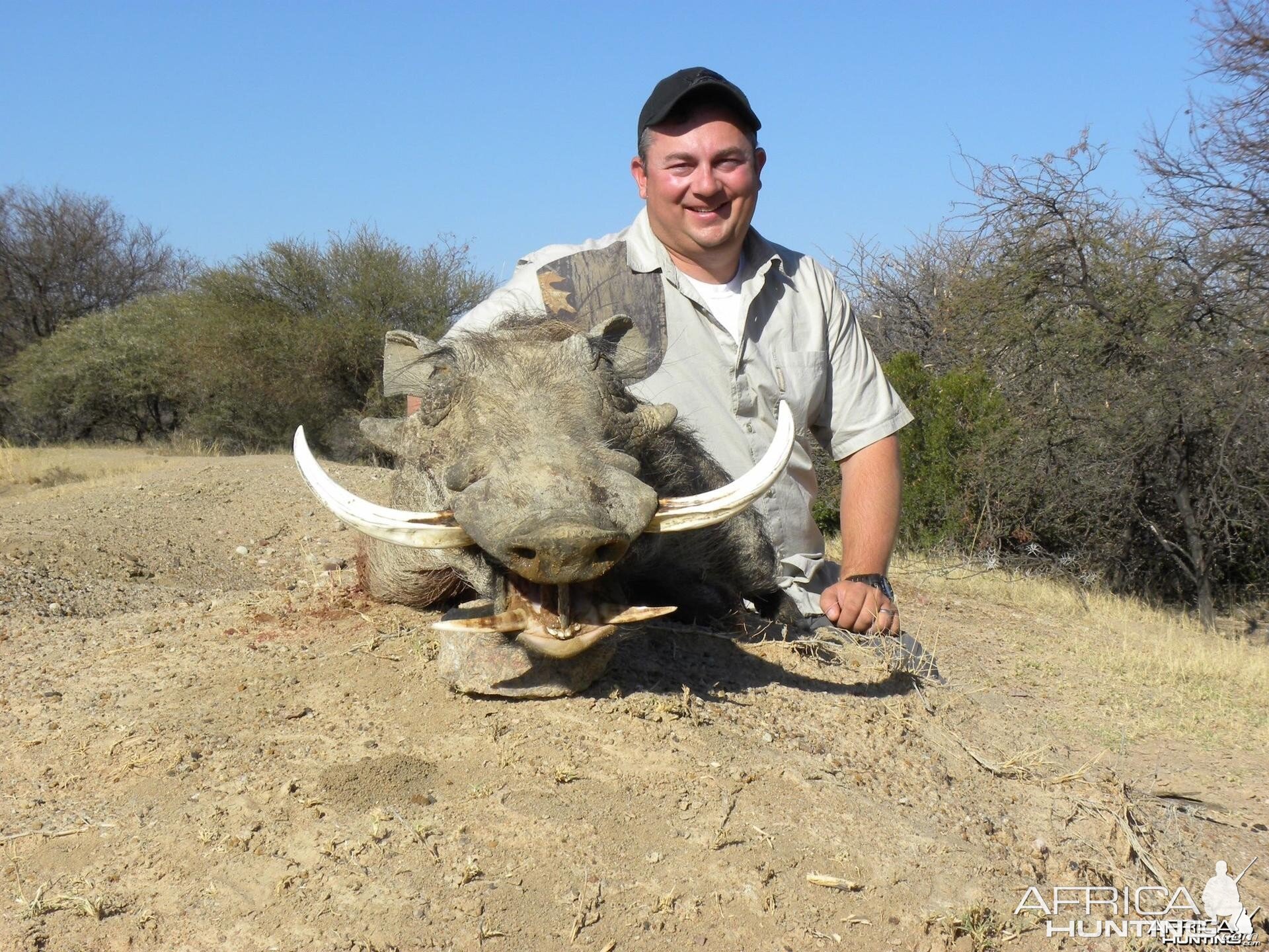 13.5 inch Warthog