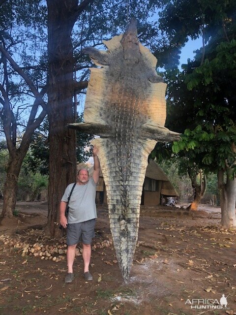 13' 8" long Crocodile