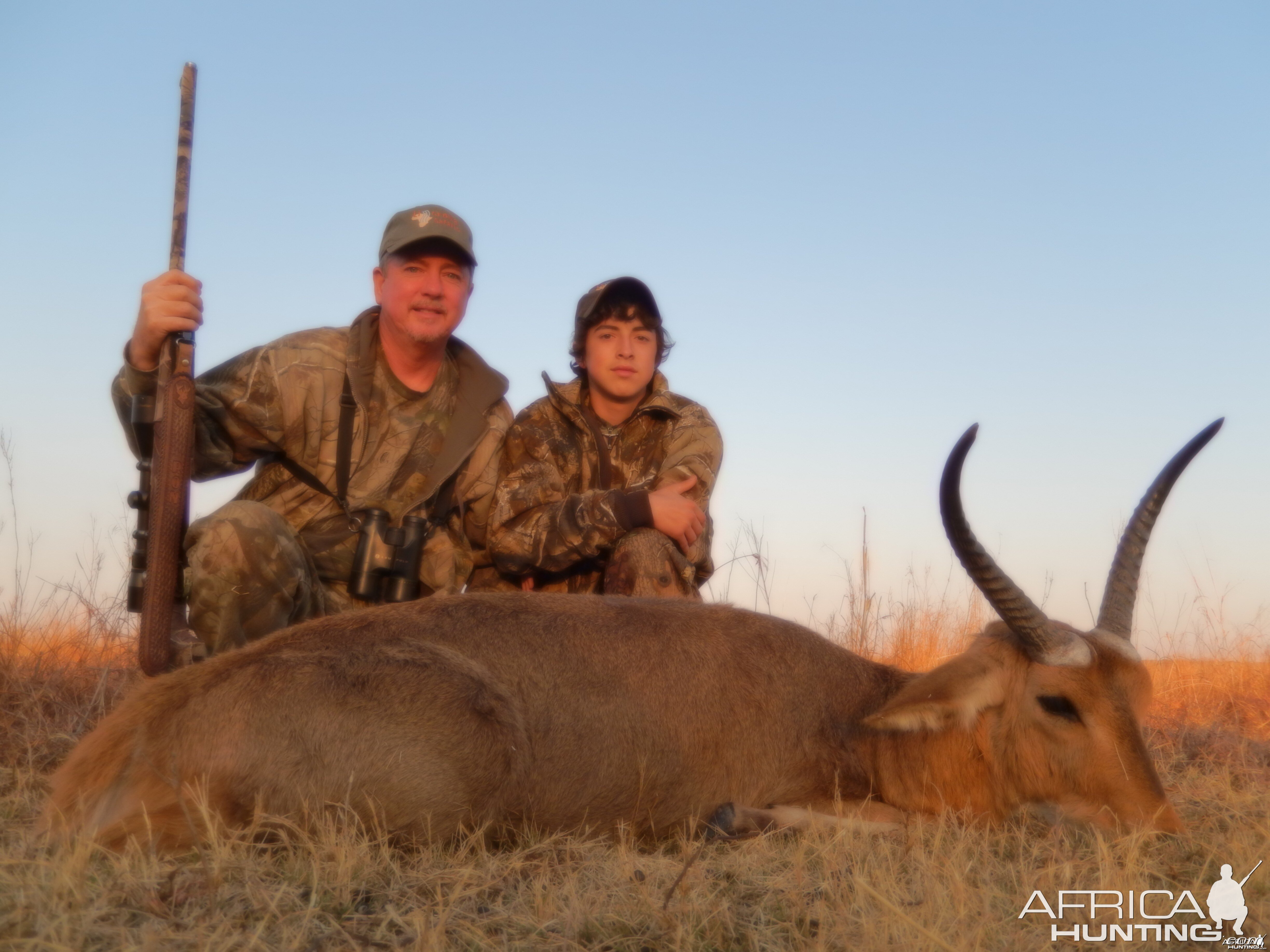 14-1/2'' common reedbuck s.a.