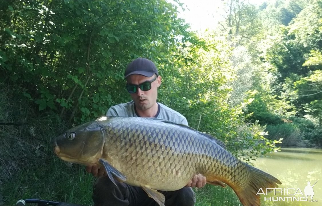 14.7 Kg Carp Fishing Italy