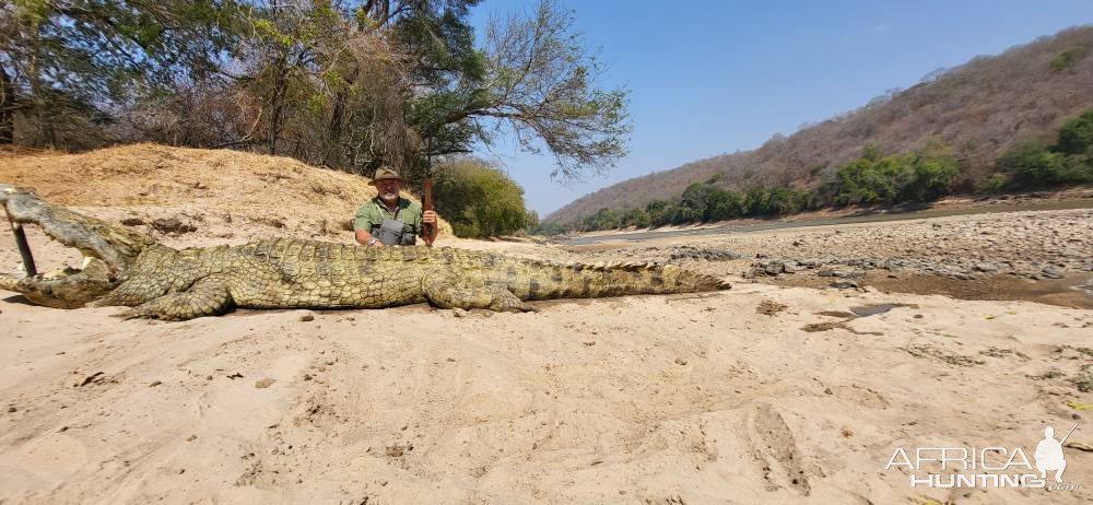 14 Feet Crocodile Hunt Zambia