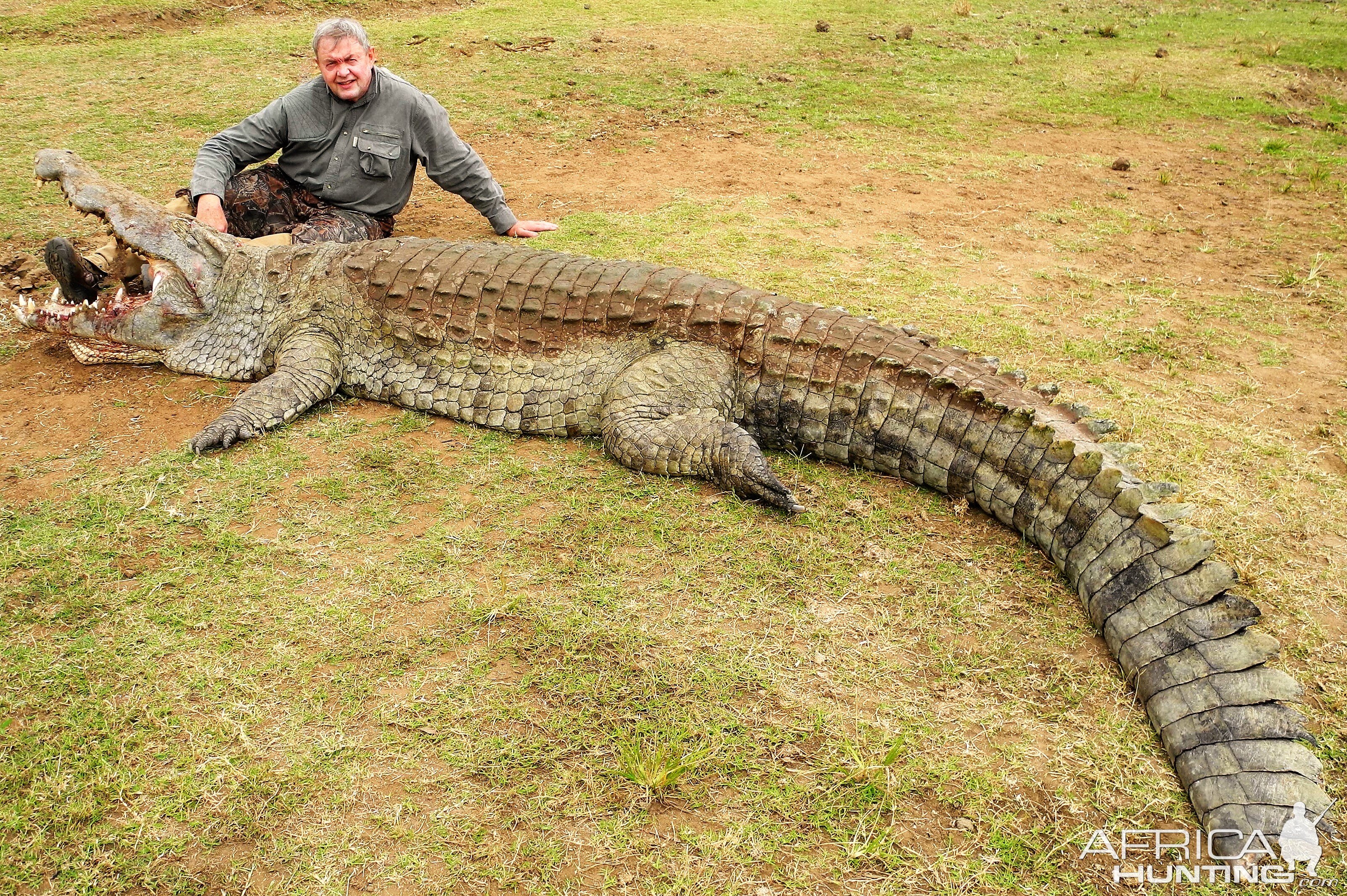 14 Foot Crocodile Hunt