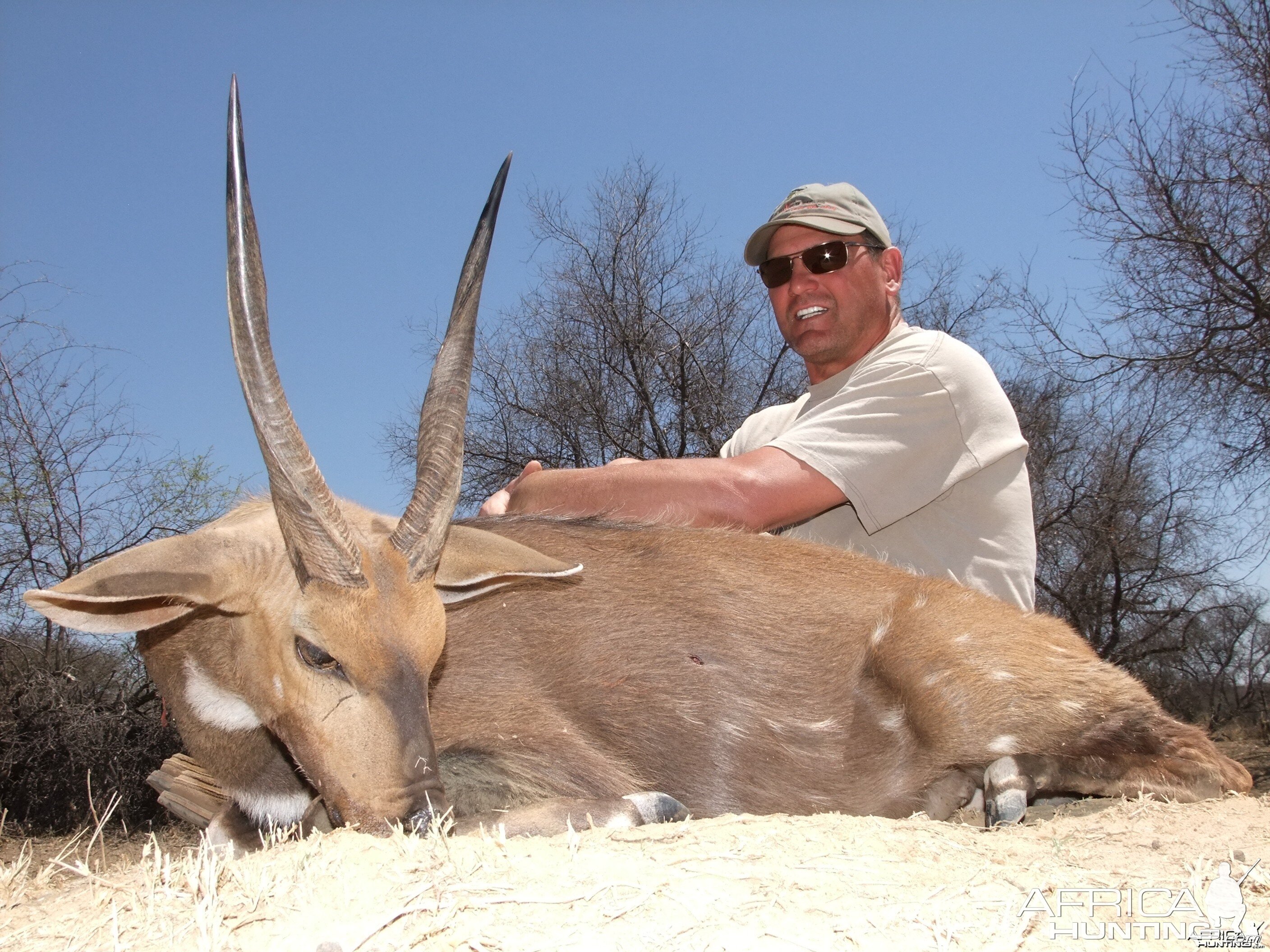 15" Bushbok