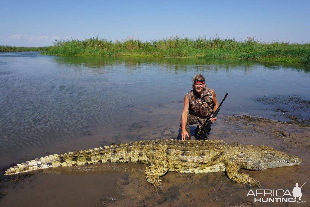 15ft Crocodile