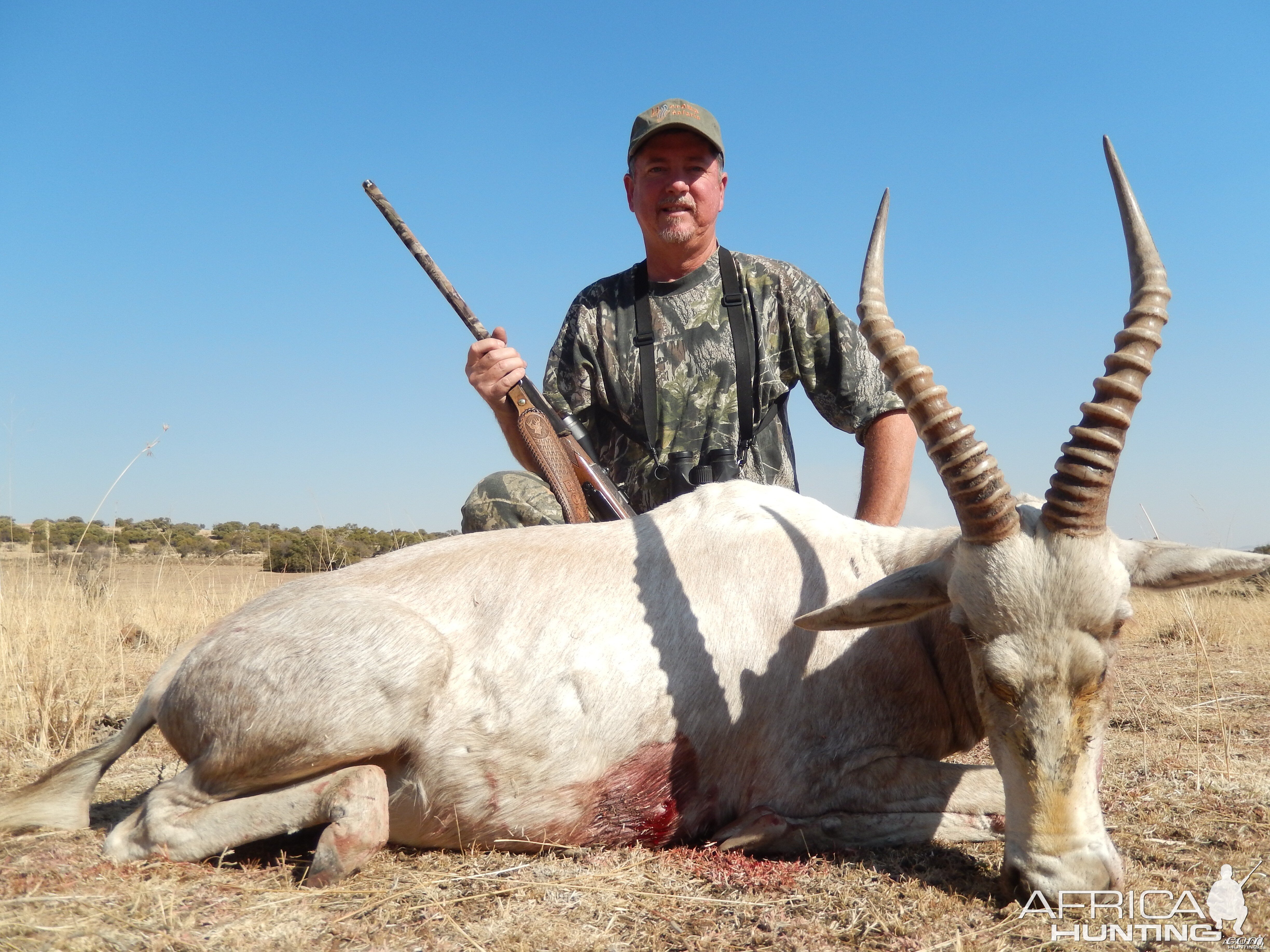 16-3/4'' white blesbok karoo s.a.