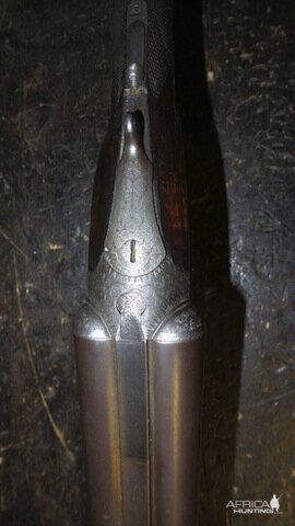 16 Bore Westley Double Rifle