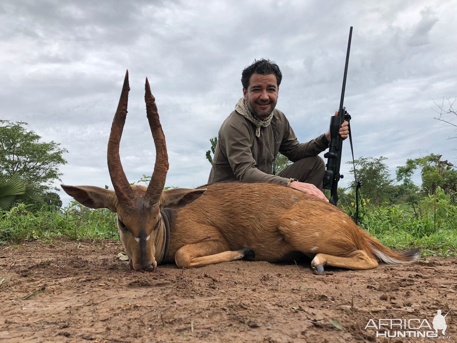 16" Inch East African Bushbuck Hunt Uganda