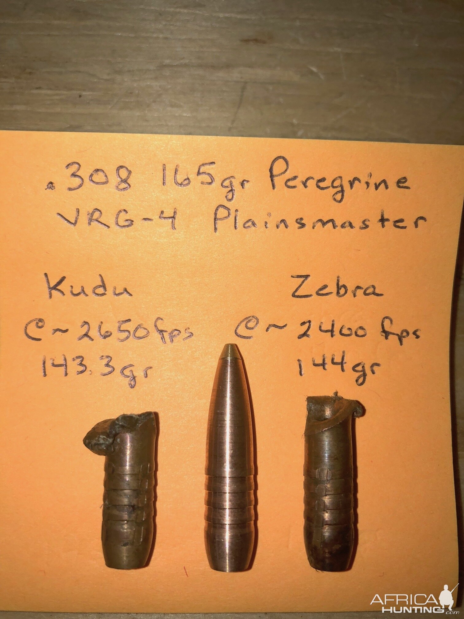 165 gr Peregrine Plainsmaster’s Bullet Performance