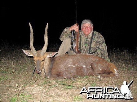 17.25 inch Limpopo Bushbuck