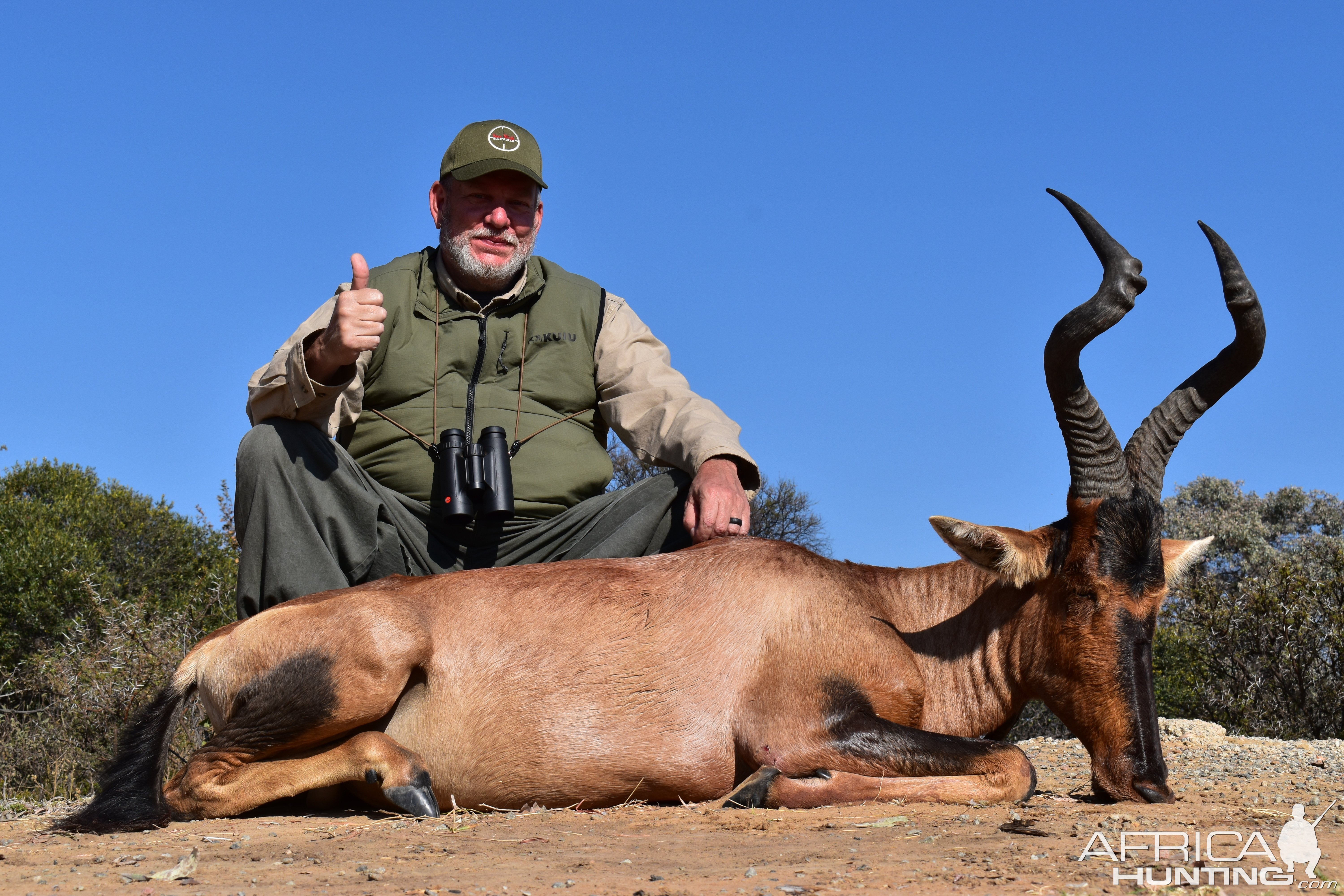 178cm Red Hartebeest Hunt South Africa