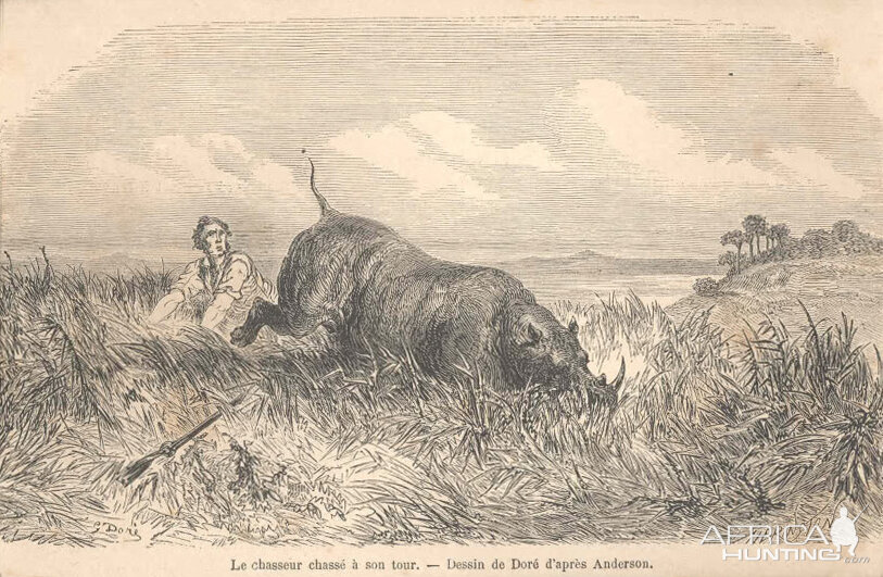 1860 Print - Hunting the Hunter Africa