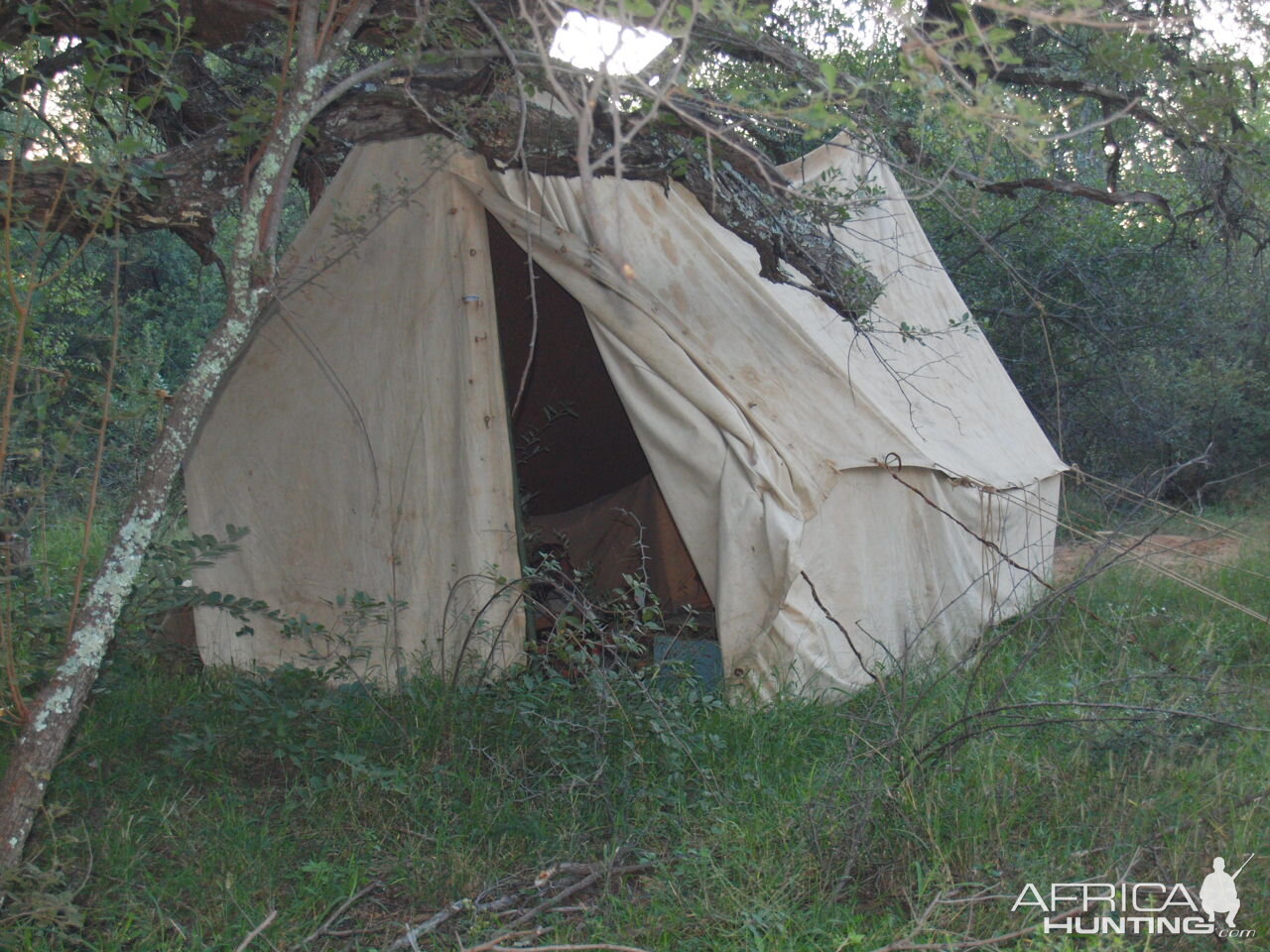 1884 Er Black powder hunt photos