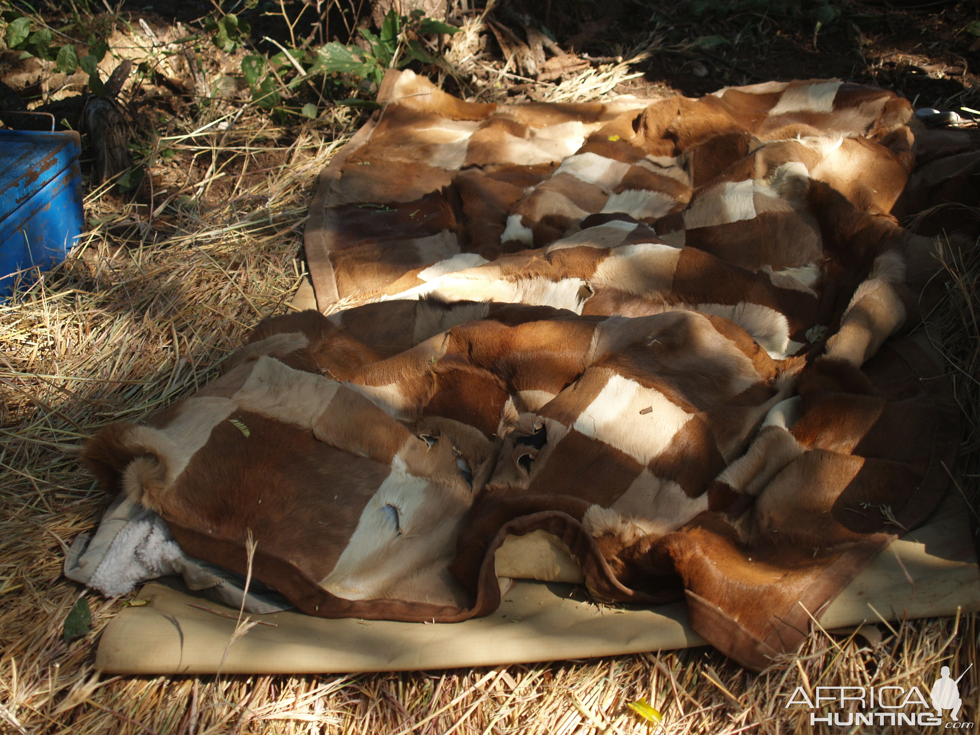 1884 Era Black powder hunt photos