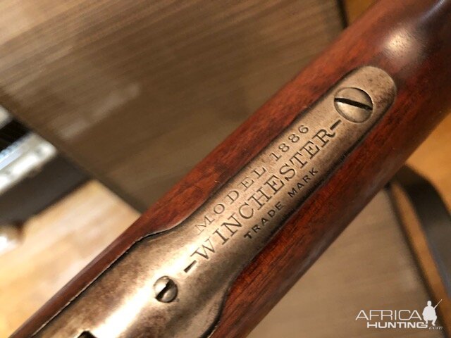 1886 Winchester in 45-70 Rifle