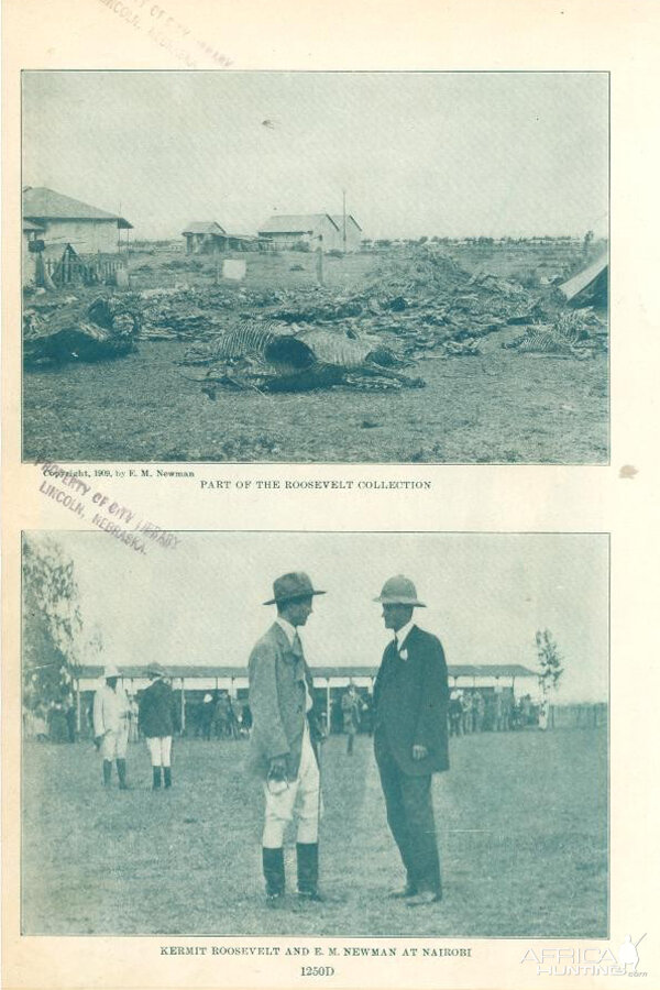 1909 - Theodore Roosevelt Hunting in Africa