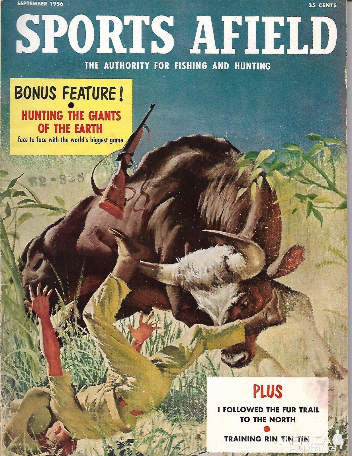 1956 Sports Afield Gaur Hunting