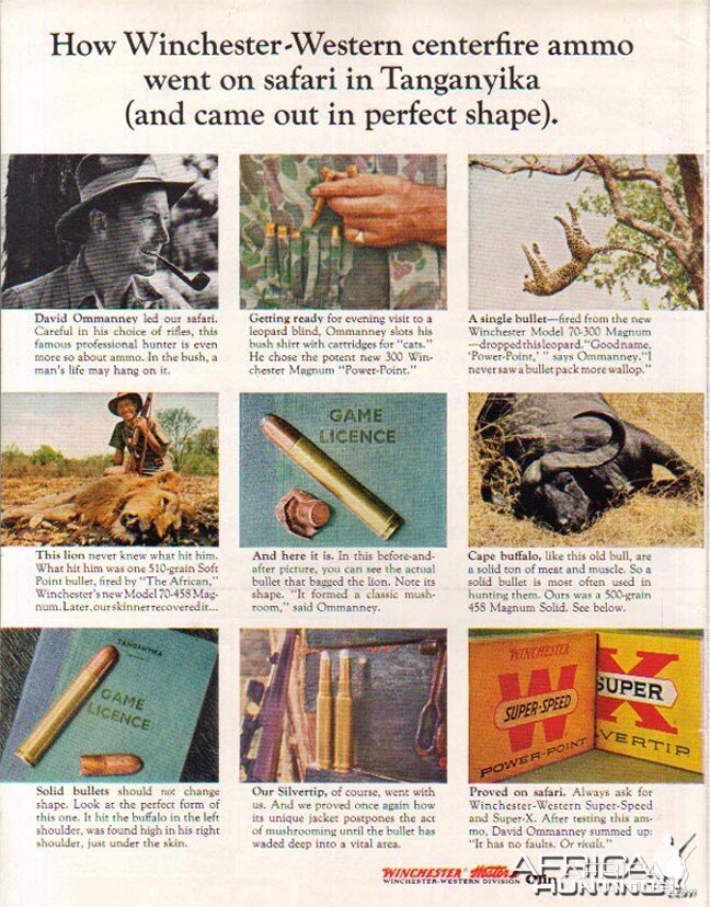 1964 Winchester Ad