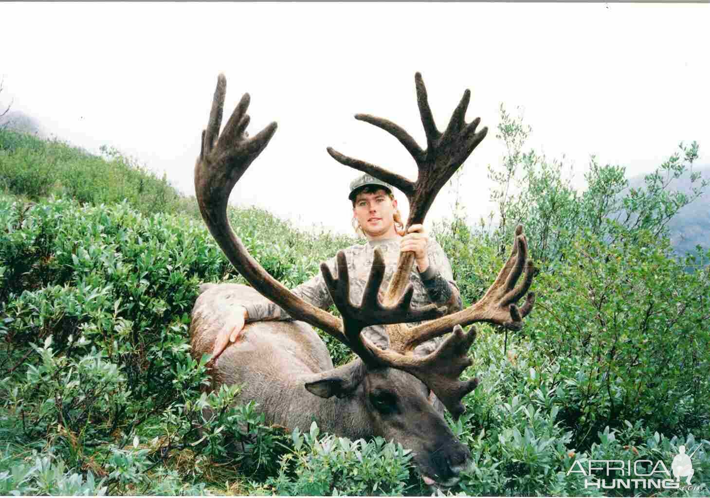 1996 Mt Caribou