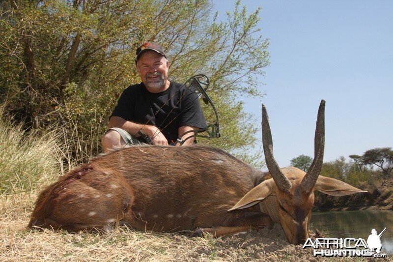 1st Bushbuck