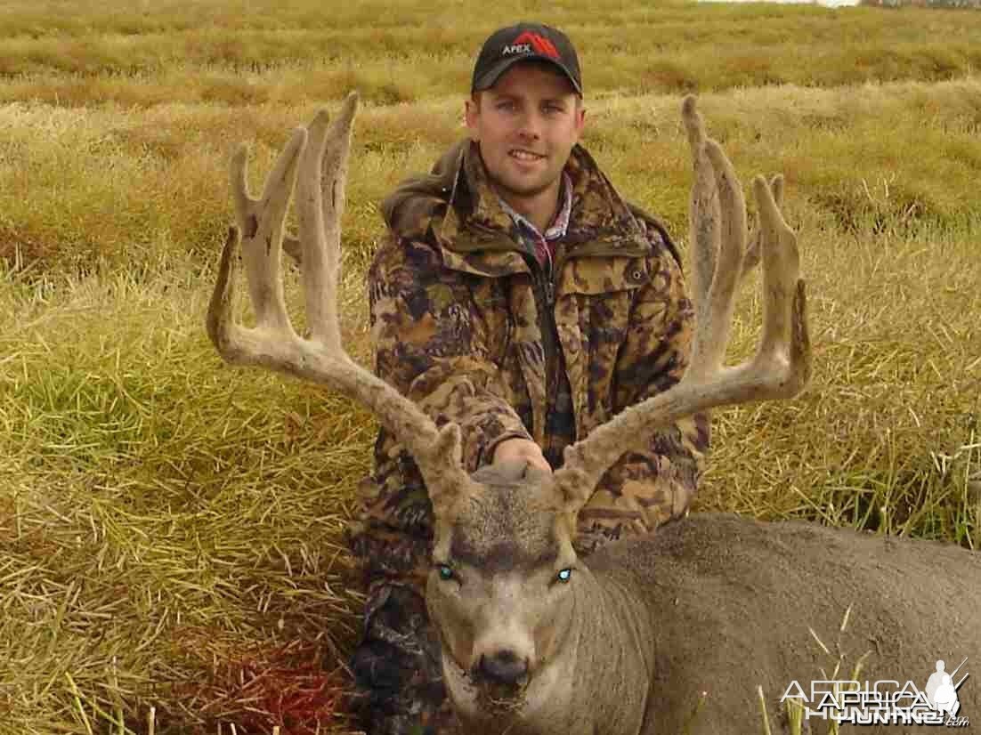 2005 Muley