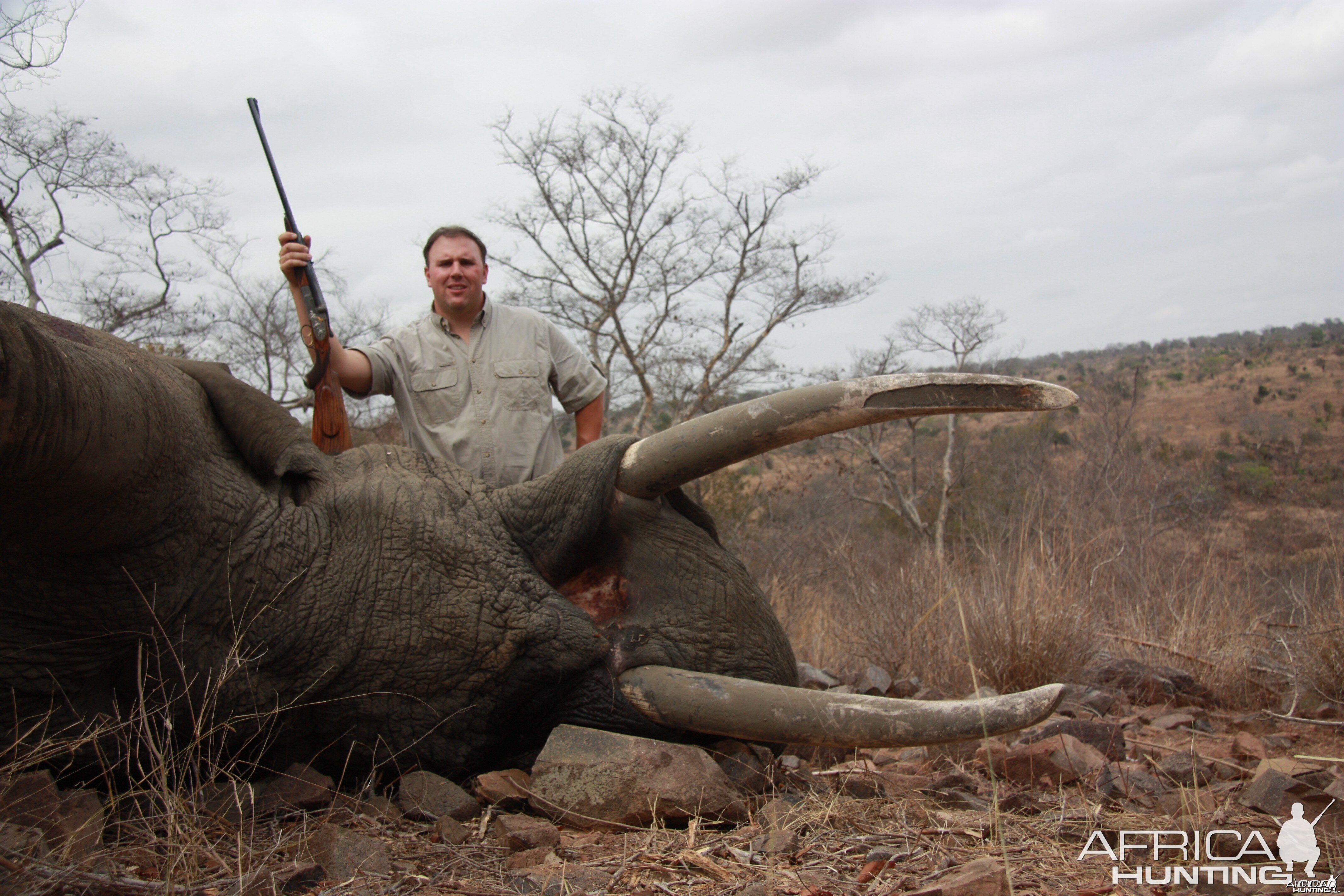 2009 Zambezi Hunters 78# elephant