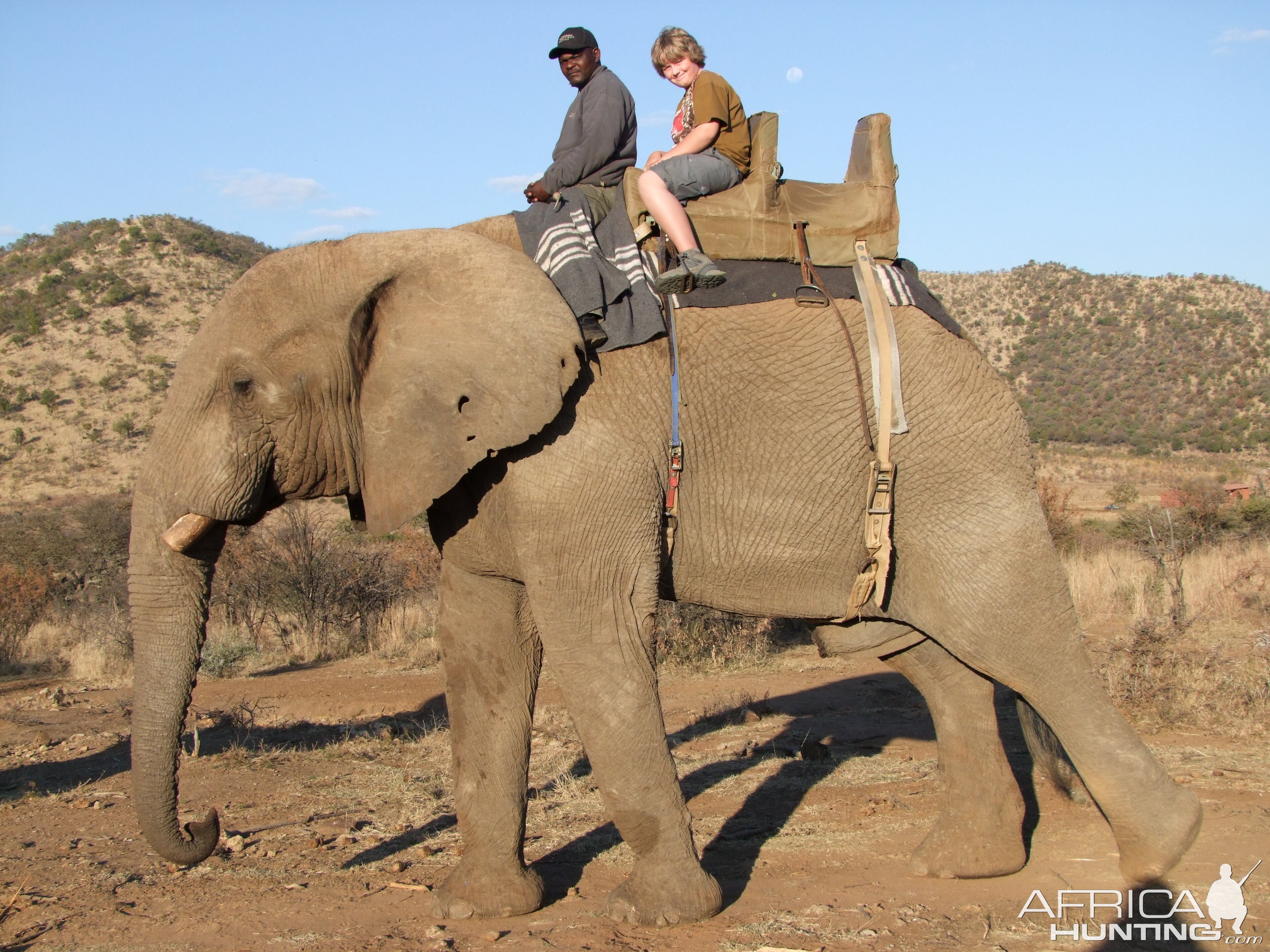 2010 RSA Elephant Ride