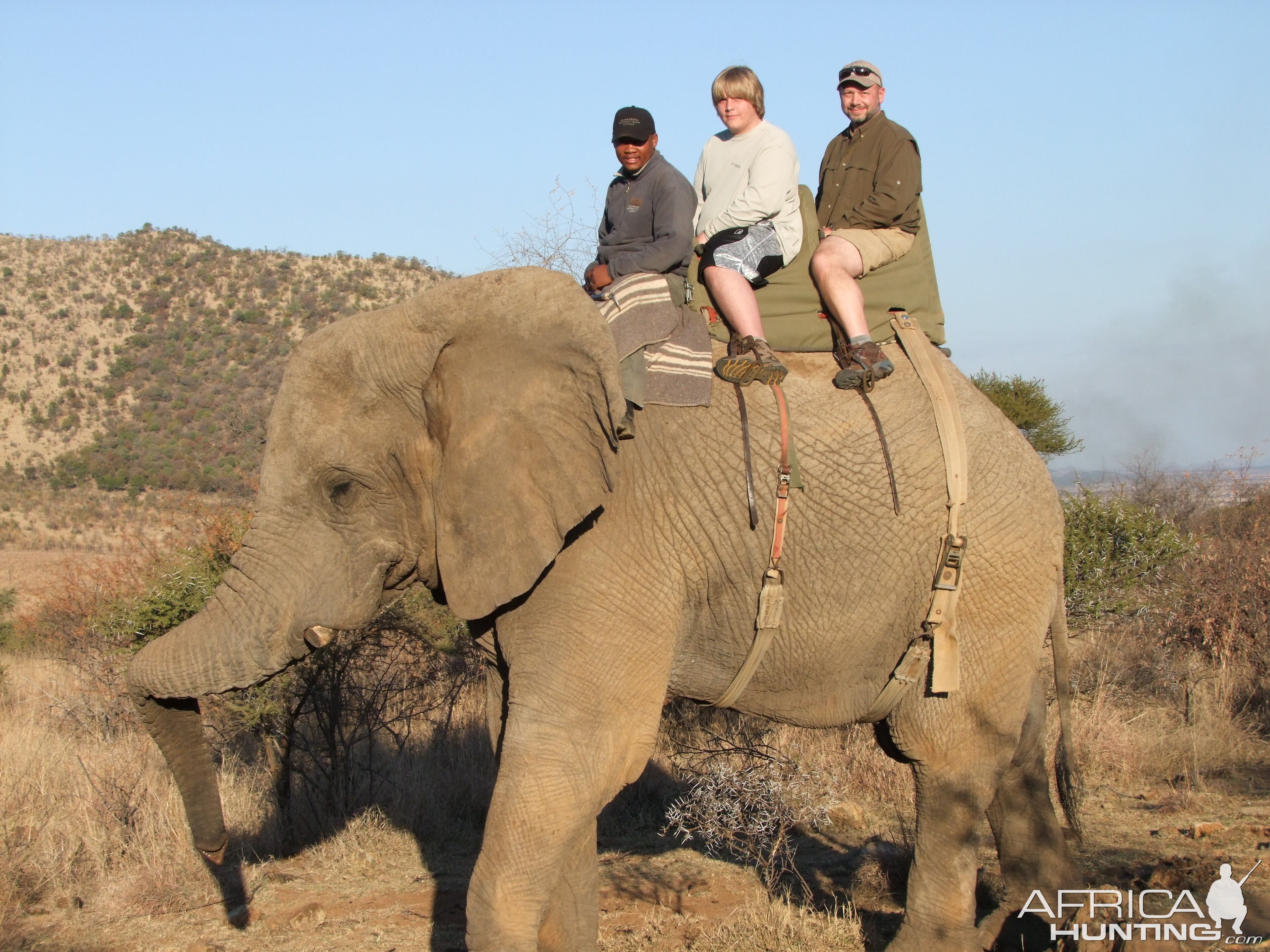 2010 RSA Elephant Ride