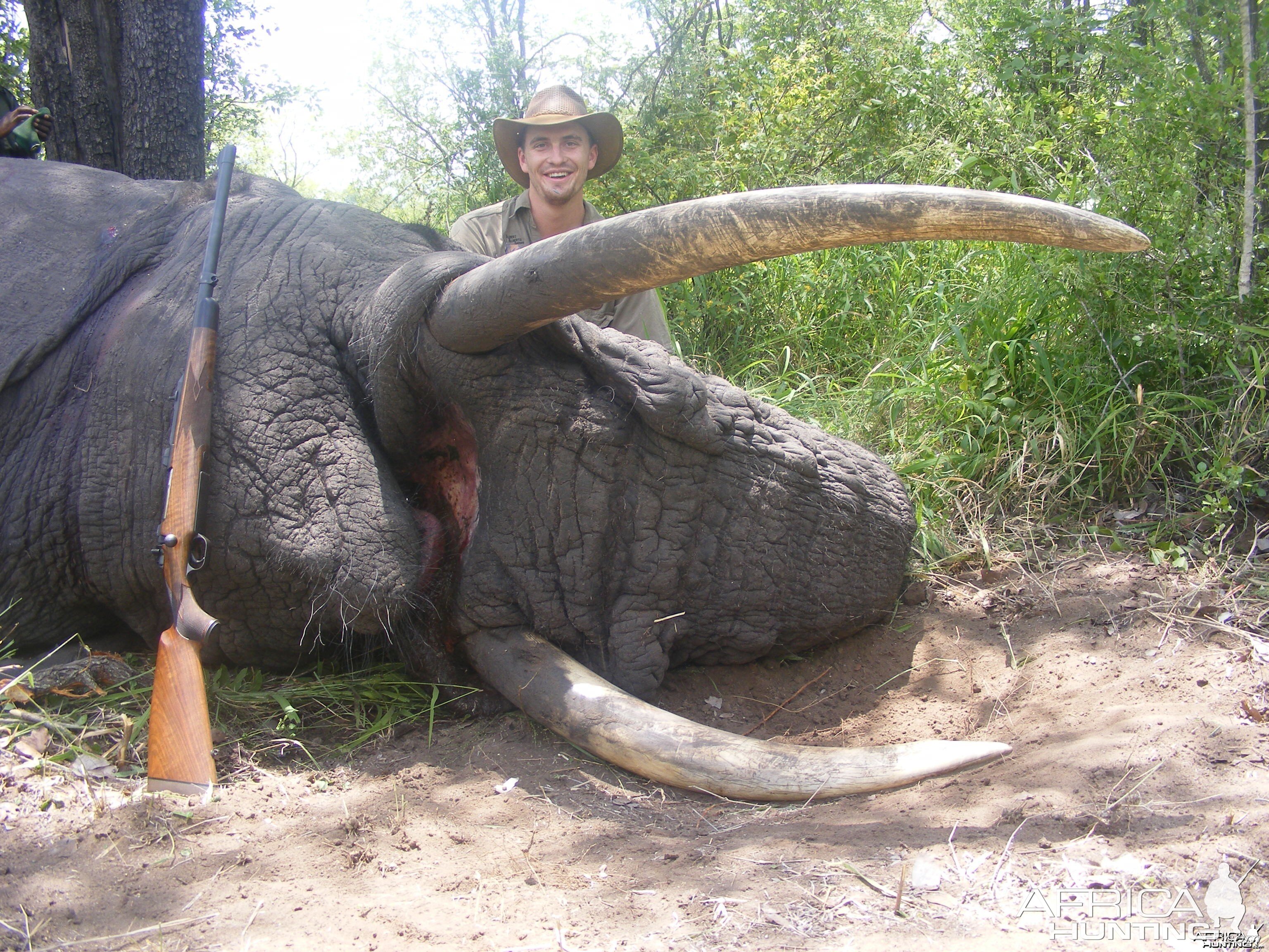 2011 elephant hunt Zimbabwe