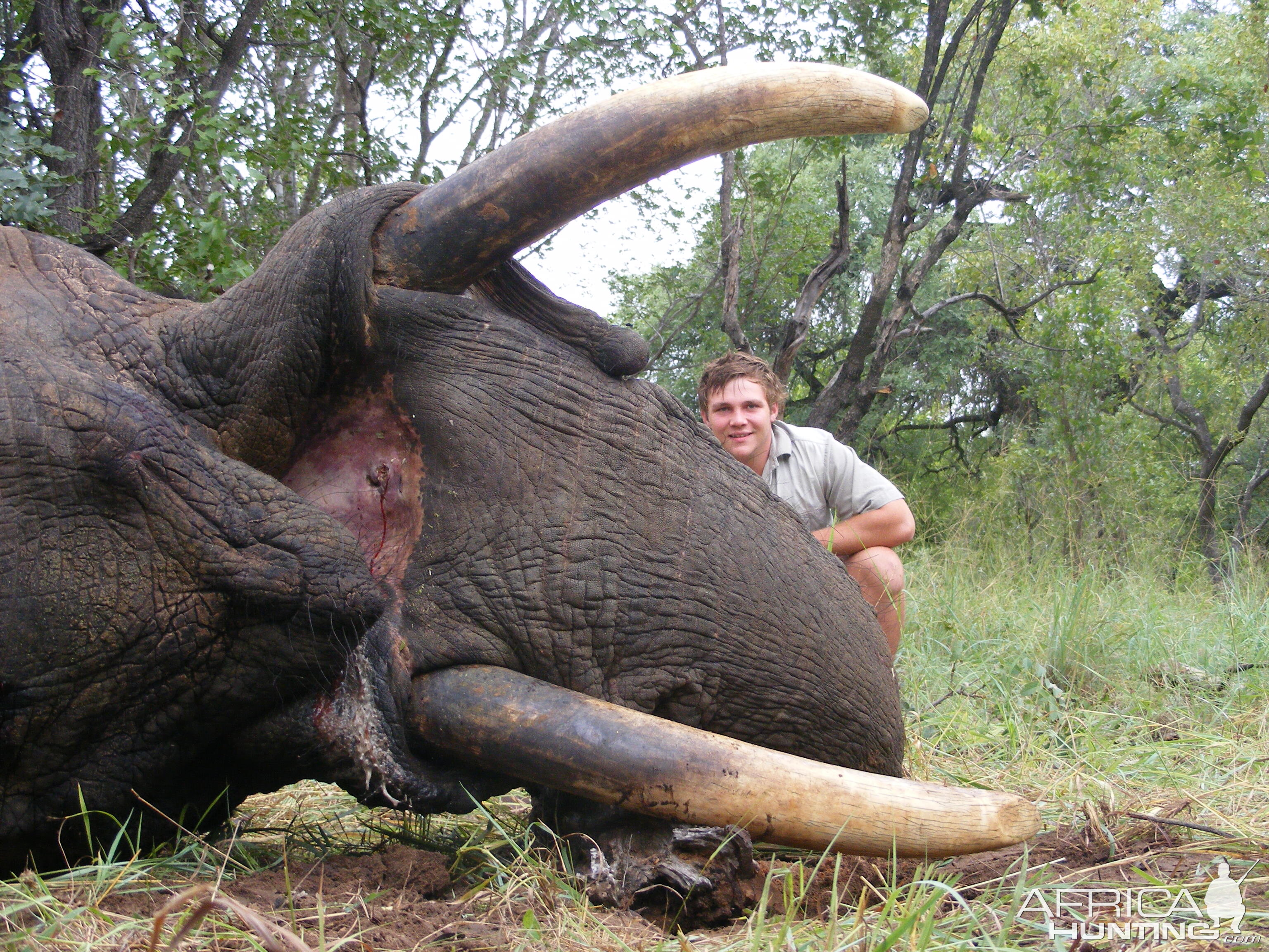 2011 elephant hunt Zimbabwe