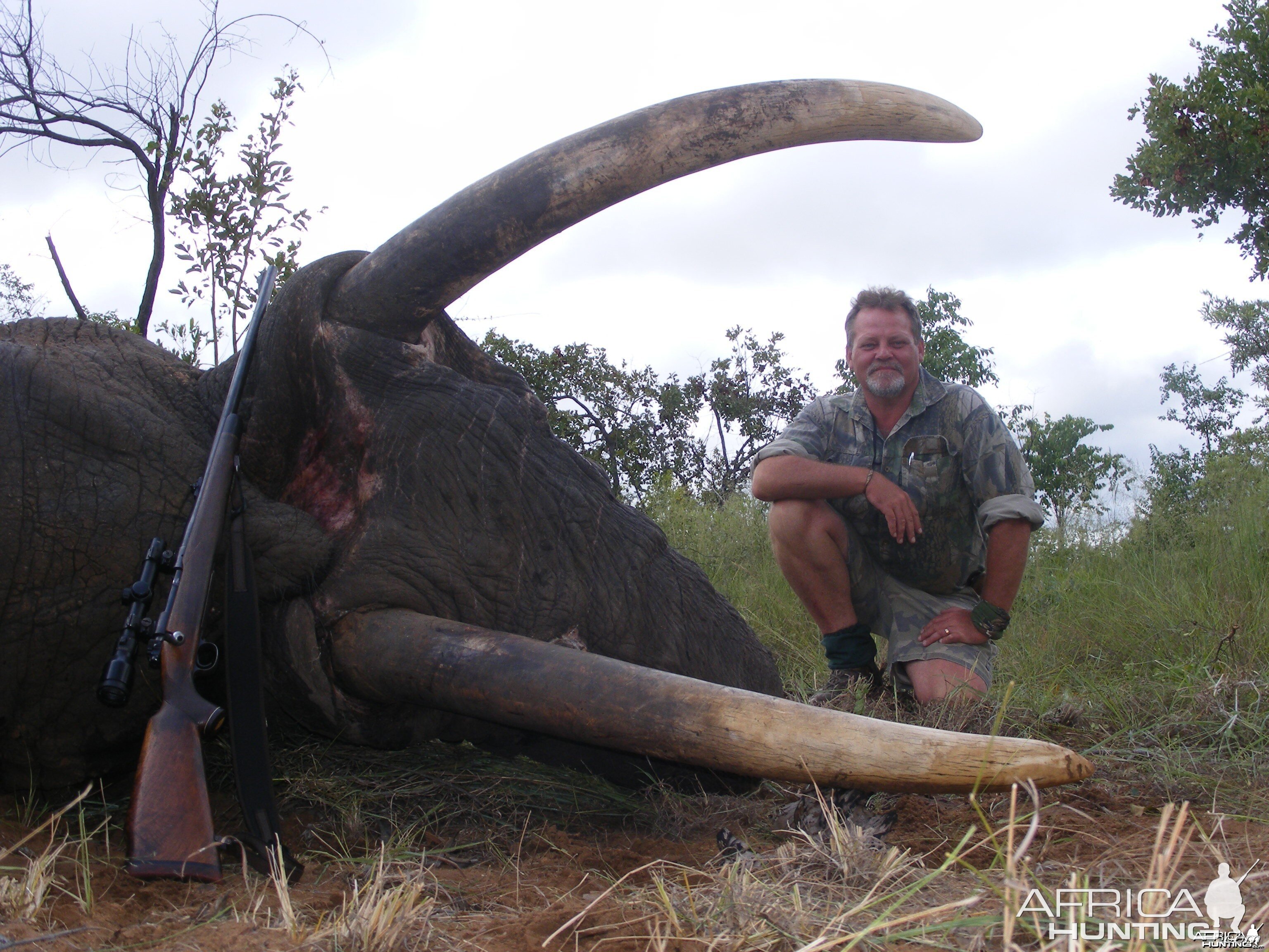 2011 elephant hunt Zimbabwe