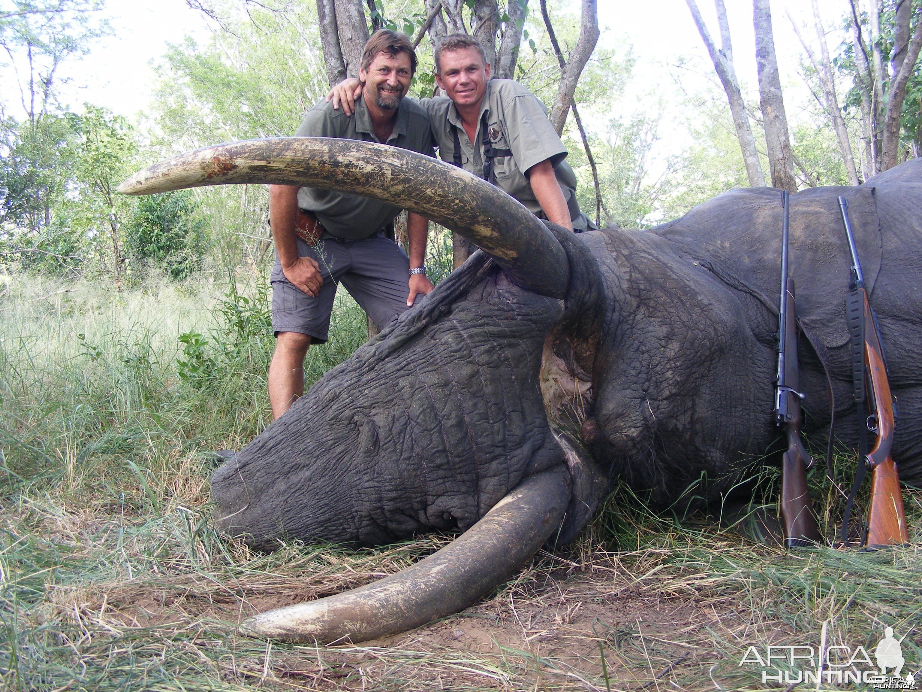 2011 elephant hunt Zimbabwe