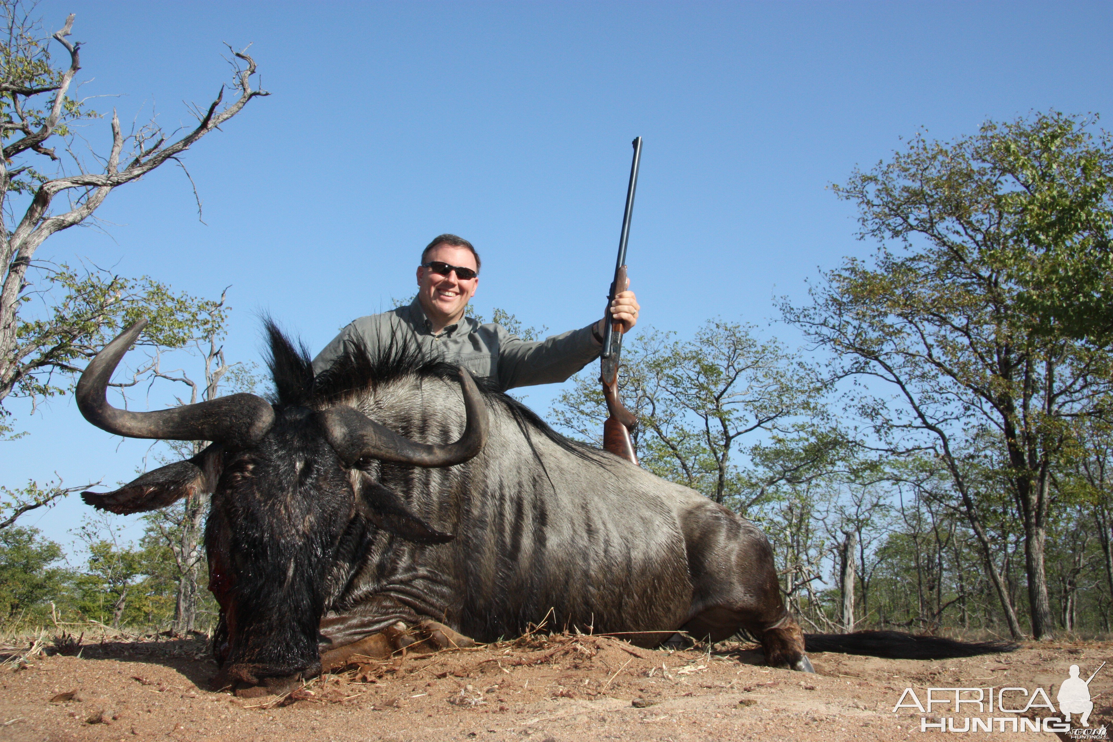 2011 Save Valley Blue Wildebeest