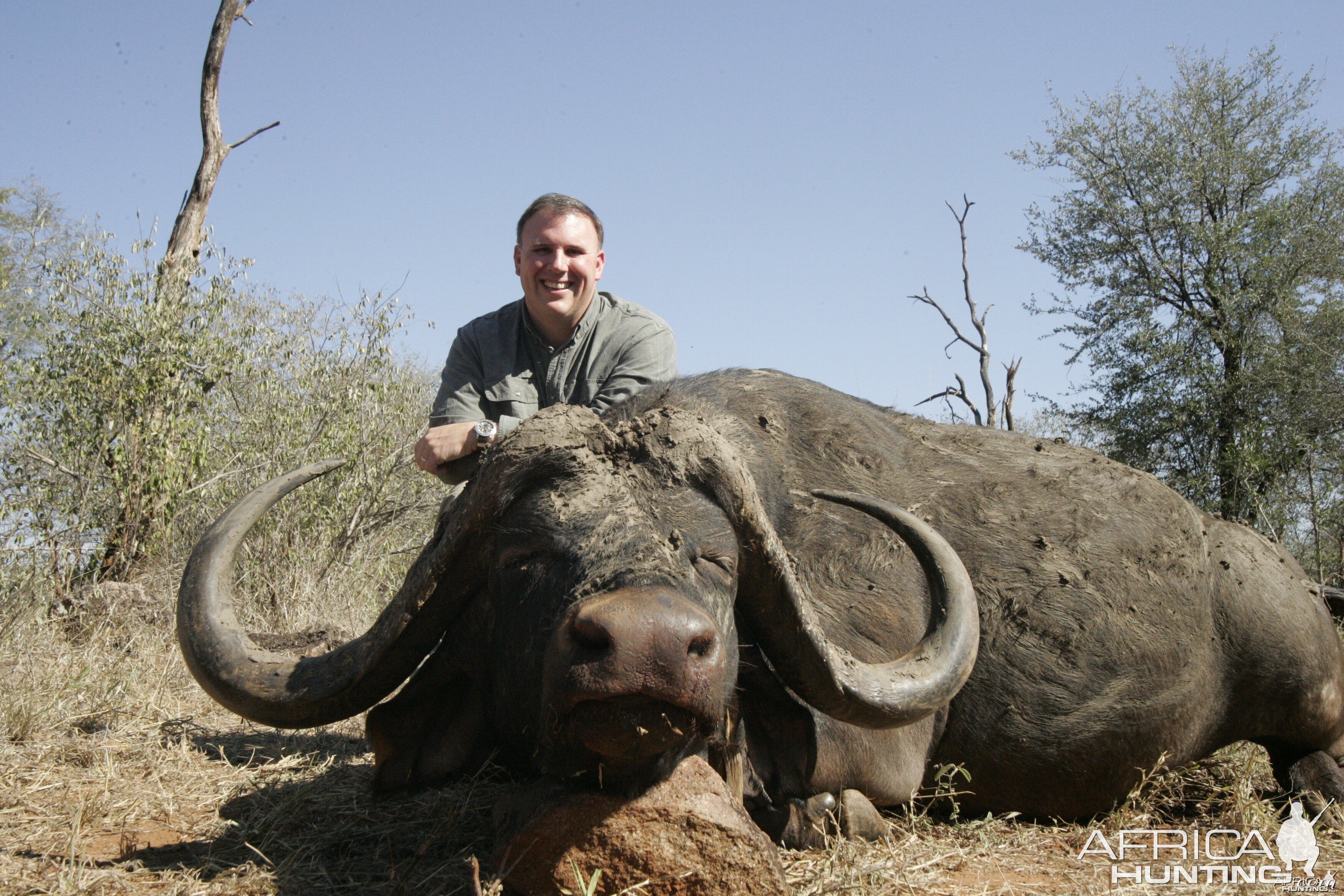 2011 Save Valley Buffalo