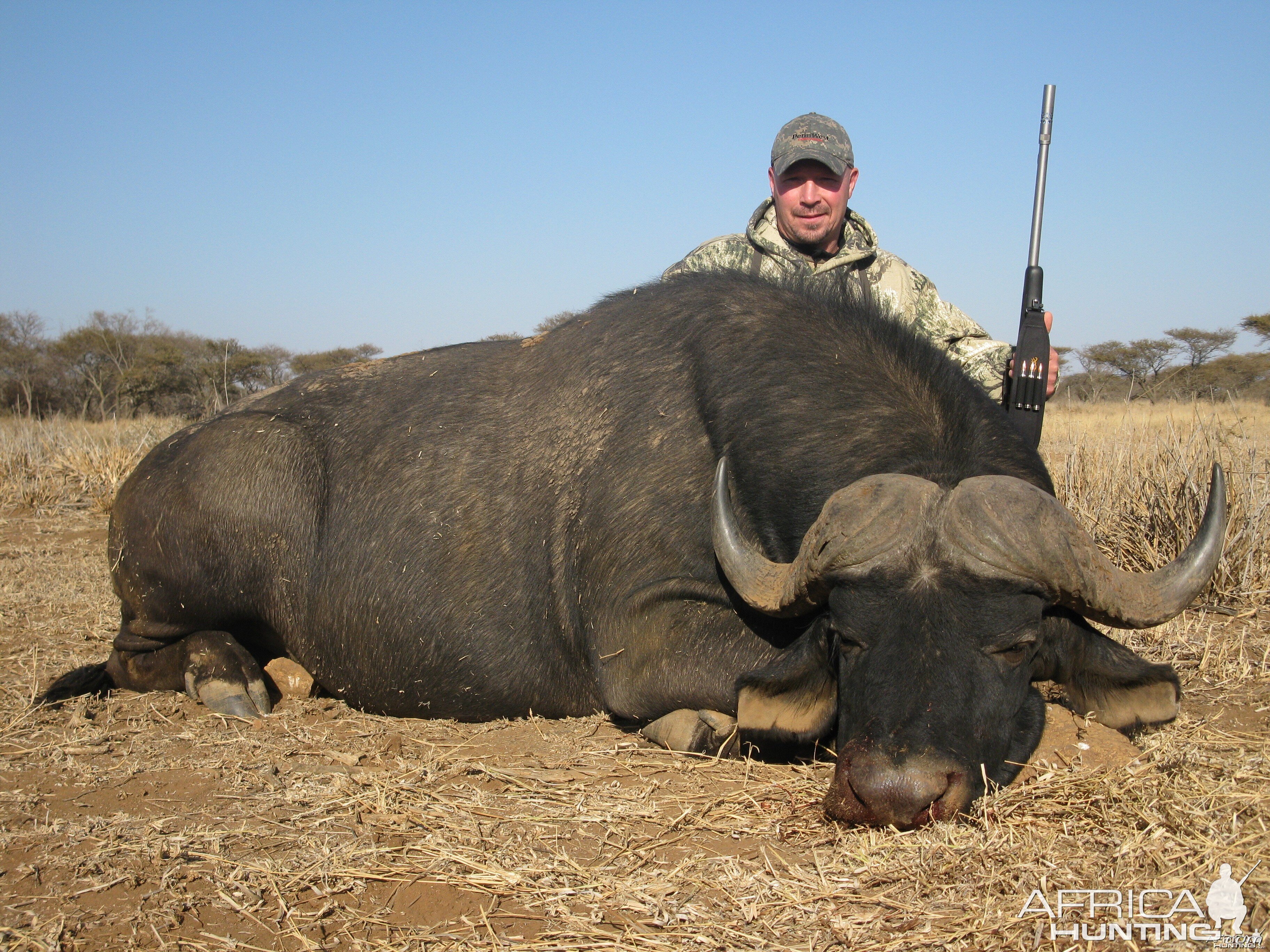 2012 Cape Buff, Limpopo