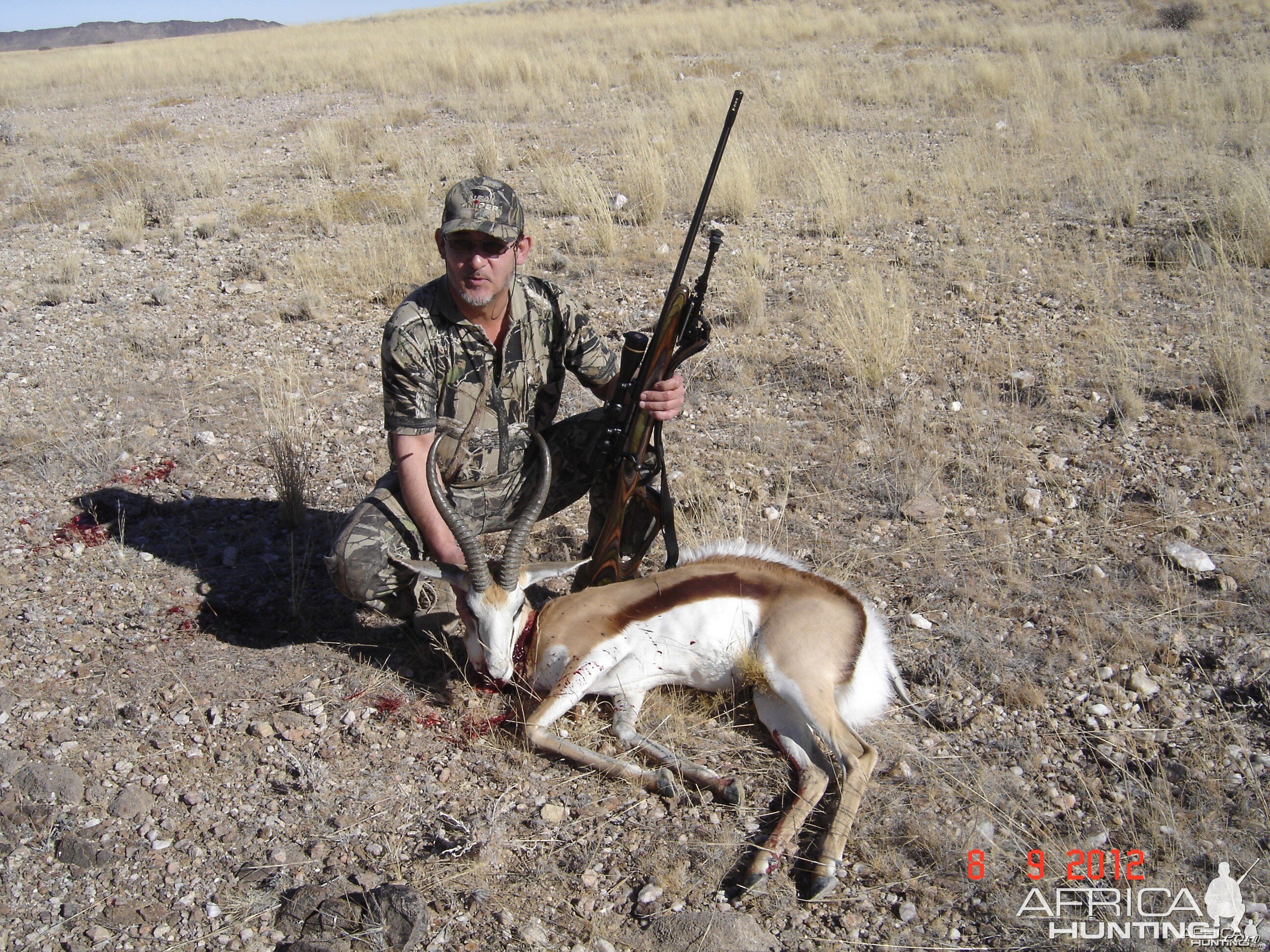 2012 Spitzkoppe - Namibia Springbok