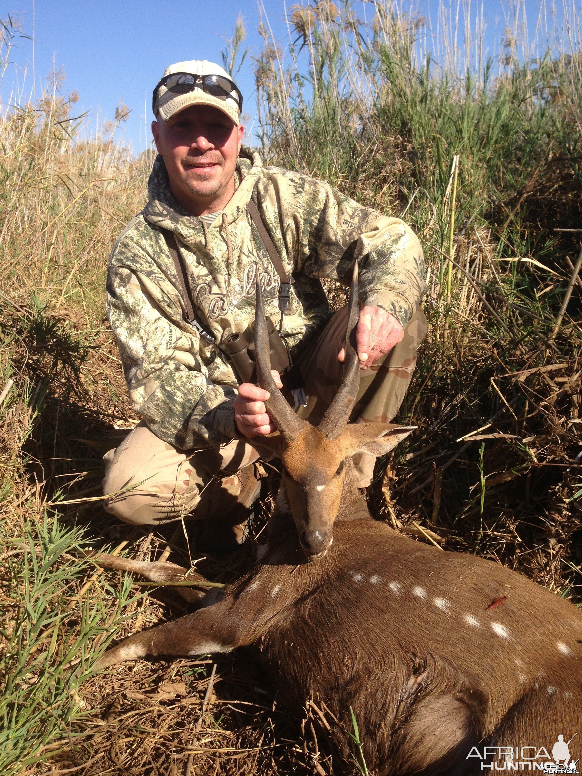 2014 Bushbuck