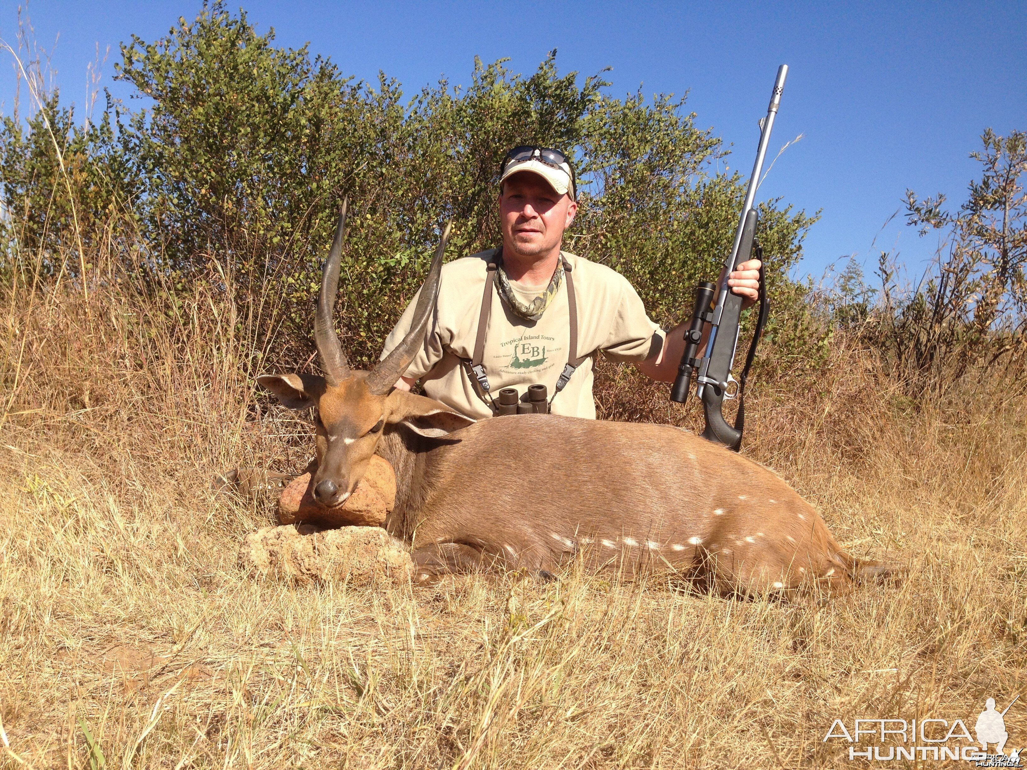 2014 Bushbuck